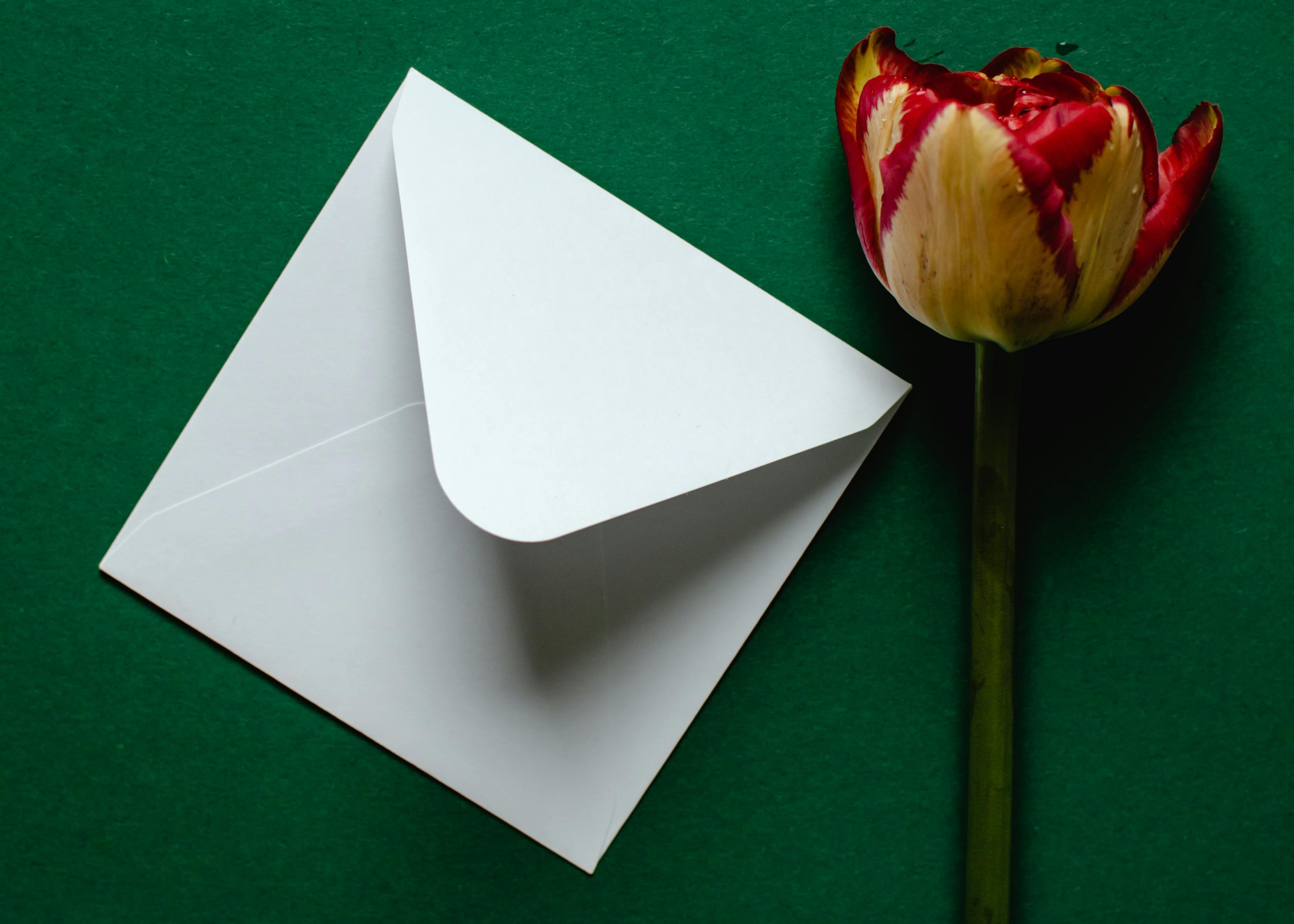 GENTI RITTER-Geschenkkarte